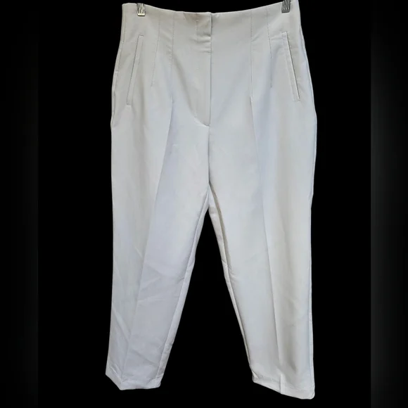 Zara Pleat Front Pants - Picture 2 of 6